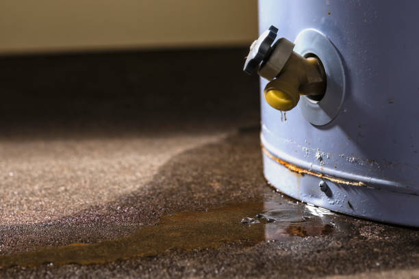 Best 24-hour water damage restoration  in Morrisville, NC