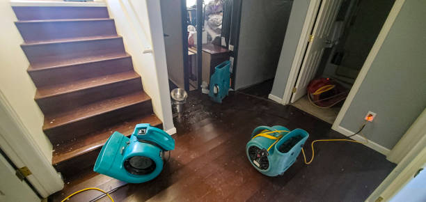 Best Flood restoration services  in Morrisville, NC