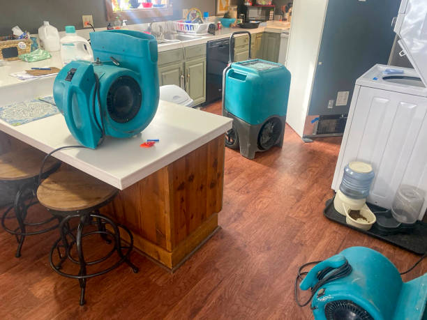 Best Ceiling water damage repair  in Morrisville, NC