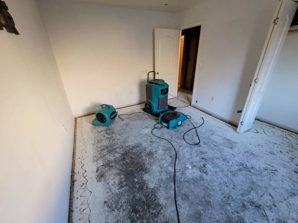 Best Water damage restoration mold remediation  in Morrisville, NC