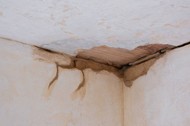 Best Flooded house restoration  in Morrisville, NC
