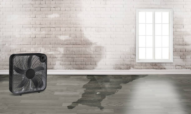 Best Sewage cleanup and water damage restoration  in Morrisville, NC