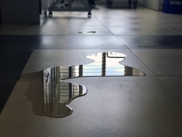 Best Carpet water damage restoration  in Morrisville, NC