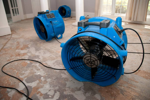 Best 24/7 water damage repair  in Morrisville, NC