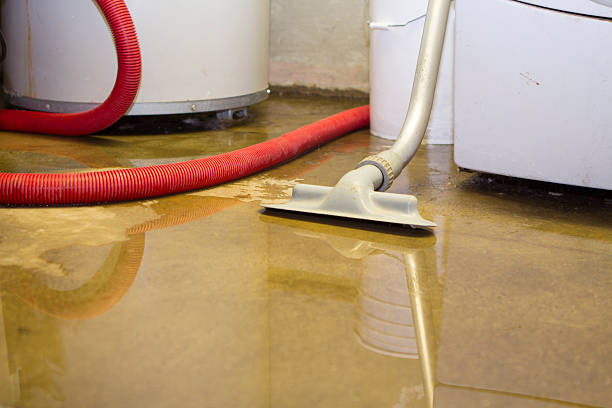 Best Carpet water damage restoration  in Morrisville, NC