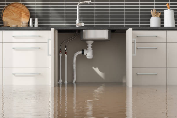 Best Ceiling water damage repair  in Morrisville, NC